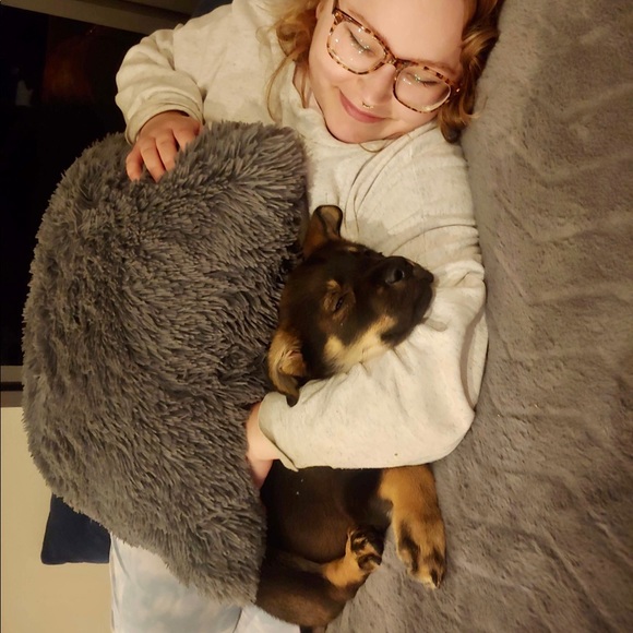 Meet your Posher, Clarisa - Picture 3 of 3